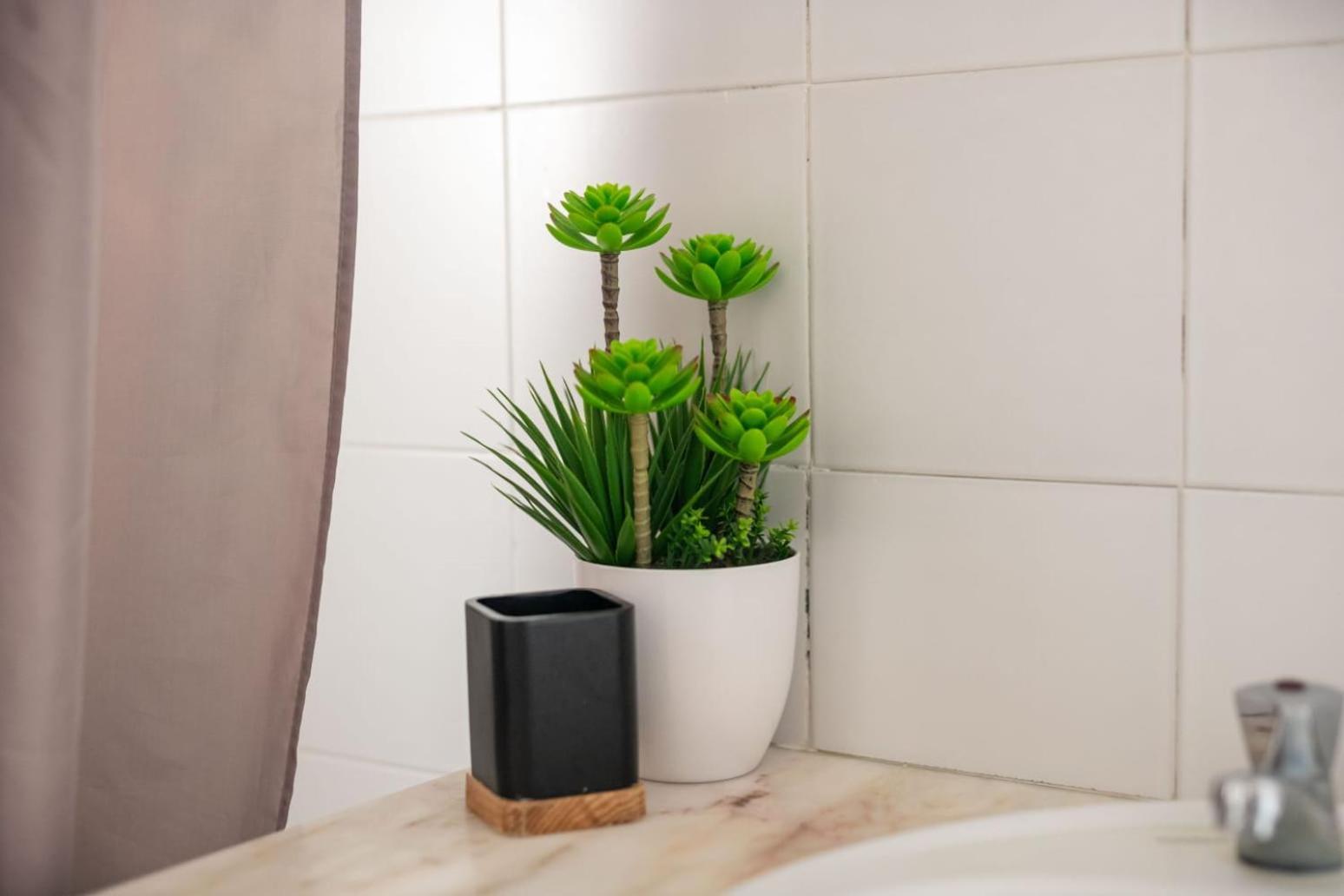 Family Friendly Azorean Apartment Πόντα Ντελγκάντα Εξωτερικό φωτογραφία